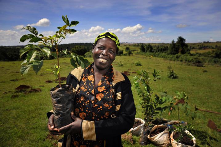 tree-planting